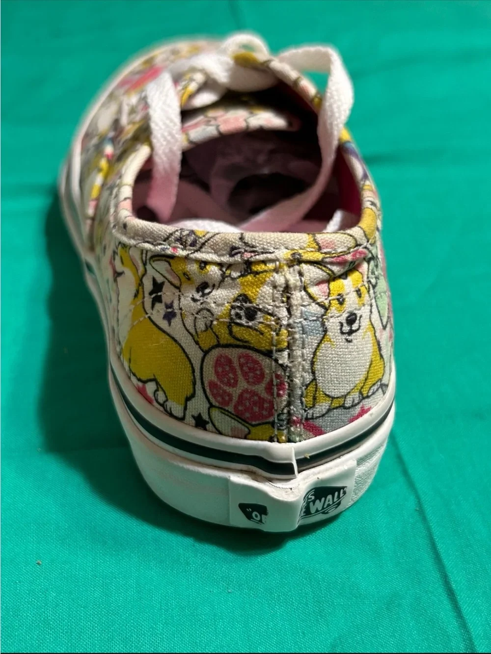 Vans playful corgi